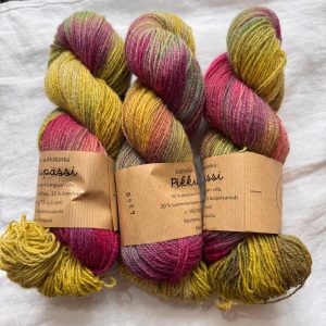 Jalovilla Pikkupässi 4940